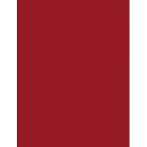 Maybelline Superstay Vinyl Ink Liquid  4,2Ml 10 Lippy   Ženski (Šminka)