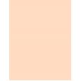 Rimmel London Stay Matte  14G 001 Transparent(Puder)