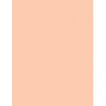 Max Factor Pan Stik   9G 25 Fair   Ženski (Makeup)