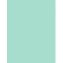 TIRTIR My Glow Lip Oil      Mint 5,7ml(Lip Oil) Unisex