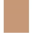 Clinique Beyond Perfecting Powder Foundation + Concealer  14,5G 7 Cream Chamois   Ženski (Makeup)