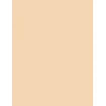 Shiseido Revitalessence  Spf30    30Ml Ženski (Makeup) Skin Glow Foundation