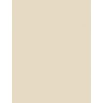 Ref Colour Boost Masque 200Ml    (Hair Color) Unisex  Sandy Blonde 8.31