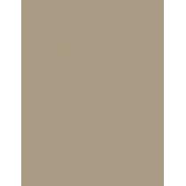Catrice Aloe Vera      1,5G Ženski (Eye Shadow) Eyeshadow Stick