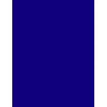 Essie Nail Lacquer 13,5Ml Snow White   (Nail Polish) Ženski  1007 Brave And True