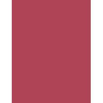 Loreal Paris Infaillible      5Ml Ženski (Lipstick) Matte Resistance Lipstick