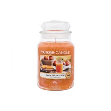 Yankee Candle Farm Fresh Peach   623G    Unisex (Dišeca Sveca)
