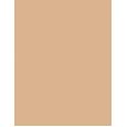 Dermacol Collagen Make-Up   20Ml Pale 1.0  Spf10 Ženski (Makeup)