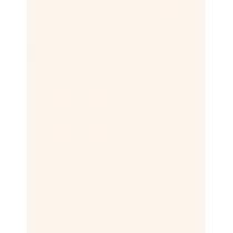 Maybelline Fit Me! Matte + Poreless 9G  Ženski  (Powder)  090 Translucent