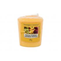 Yankee Candle Tropical Starfruit   49G    Unisex (Dišeca Sveca)
