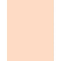 Christian Dior Forever No Transfer 24H Foundation  30Ml 2Cr Cool Rosy  Spf20 Ženski (Makeup)