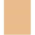 Missha M Perfect Cover BB Cream EX  SPF42   No.27 Honey Beige 20ml(BB Cream) Ženski