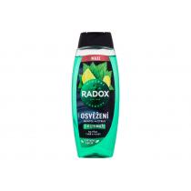 Radox Refreshment Menthol And Citrus 3-In-1 Shower Gel 450Ml  Moški  (Shower Gel)  
