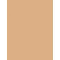 Loreal Paris Infaillible      9G Ženski (Makeup) 24H Fresh Wear Foundation In A Powder