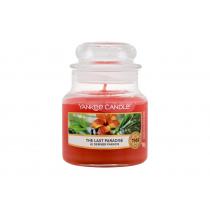 Yankee Candle The Last Paradise  104G  Unisex  (Scented Candle)  