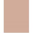 Bourjois Paris Bronzer 7G    (Bronzer) Ženski  001 Light Medium