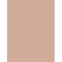 Bourjois Paris Bronzer 7G    (Bronzer) Ženski  001 Light Medium