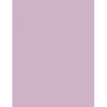 Sally Hansen Color Foil 10Ml    (Nail Polish) Ženski  110 Fuchsia-Ristic