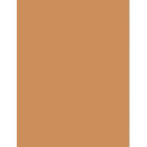 Shiseido Synchro Skin Self-Refreshing Custom Finish Powder Foundation  9G 350 Maple   Ženski (Makeup)