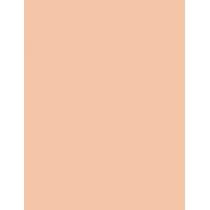 Clarins Ever Matte Compact Powder  10G 02 Light   Ženski (Puder)