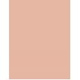 Bourjois Paris Always Fabulous 24H  30Ml 400 Rose Beige  Spf20 Ženski (Makeup)