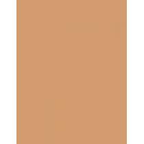 Clinique Beyond Perfecting Powder Foundation + Concealer  14,5G 14 Vanilla   Ženski (Makeup)