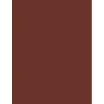 Wella Professionals Color Fresh Mask 150Ml  Ženski  (Hair Color)  Caramel Glaze