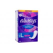 Always Daily Protect      48Pc Ženski (Pantyliner) Long Fresh Scent