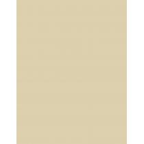 Artdeco Perfect Stick   4G 6 Neutralizing Green   Ženski (Korektor)