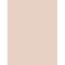 Inebrya Color      10/13 Platinum Blonde Ash Golden 100ml(Hair Color) Unisex