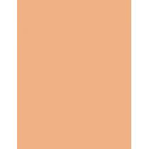Clarins Lip Perfector      22 Peach Glow 12ml(Lip Gloss) Ženski