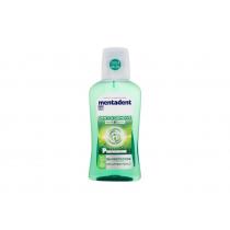 Mentadent Teeth And Gums      300Ml Unisex (Mouthwash) Mint