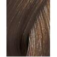 Wella Color Touch Deep Browns 60Ml  Hair Color 6-71 Ženski (Kozmetika)