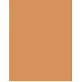 Shiseido Synchro Skin Self-Refreshing     401 Tan 5,8ml(Corrector) Ženski