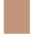 Shiseido Sun Protection Tanning Compact Foundation  SPF10   Bronze 12g(Makeup) Ženski