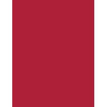 Maybelline Color Sensational   1,2G 90 Brick Red   Ženski (Svincnik Za Ustnice)