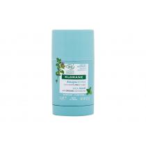 Klorane Aquatic Mint Stick Mask  25G    Ženski (Obrazna Maska)