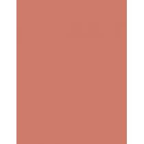 Nyx Professional Makeup Line Loud 1,2G    (Lip Pencil) Ženski  04 Born To Hustle