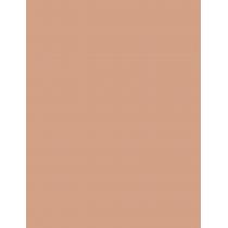 Artdeco Perfect Stick   4G 1 Velvet Rose   Ženski (Korektor)