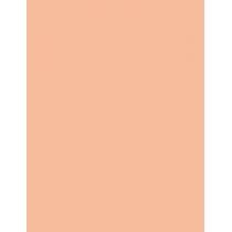 Artdeco Fluid Camouflage Foundation      Neutral 15 Natural Sand 20ml(Makeup) Ženski