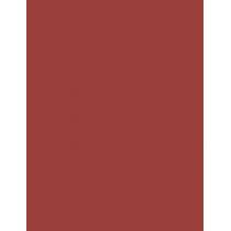 Nyx Professional Makeup Fat Oil 2G Slick Click   (Lip Balm) Ženski  04 Going Viral