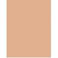 Wet N Wild Megalast Incognito All-Day Full Coverage Concealer 5,5Ml  Ženski  (Corrector)  Medium Neutral