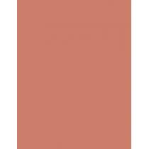 Maybelline Superstay Ink Crayon Matte  1,5G 95 Talk The Talk   Ženski (Šminka)