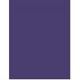 Inebrya Color      Violet 100ml(Hair Color) Unisex