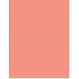 Artdeco Blusher   5G 07 Salmon Blush   Ženski (Rdecilo)