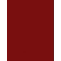 Max Factor Lipfinity 24Hrs  4,2G 115 Confident   Ženski (Šminka)