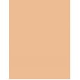 Shiseido Synchro Skin Self-Refreshing  SPF30   350 Maple 30ml(Makeup) Ženski
