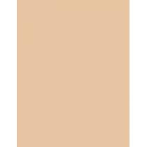 Benefit Hoola Matte Bronzer 8G  Ženski  (Bronzer) Lite 