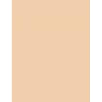 Chanel Ultra Le Teint Flawless Finish Compact Foundation  13G B20   Ženski (Makeup)