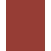 Nyx Professional Makeup Duck Plump 0,33G Plumping Lip Liner   (Lip Pencil) Ženski  07 Swollen Spice